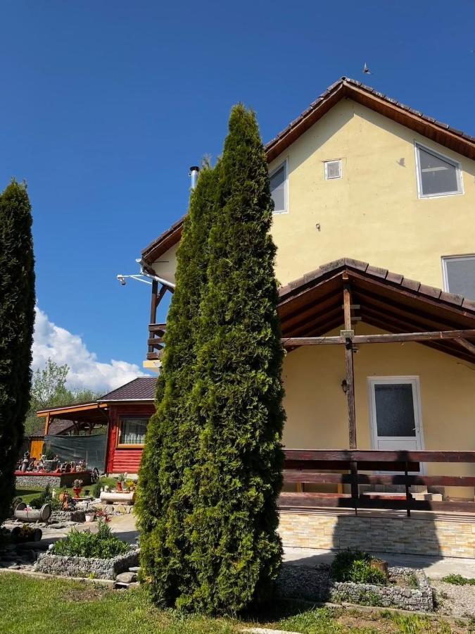 Pensiunea Colt De Rai, Vistisoara Statiunea Climaterica Sambata Buitenkant foto