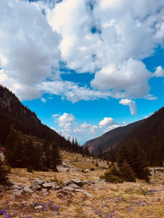 Pensiunea Colt De Rai, Vistisoara Statiunea Climaterica Sambata Buitenkant foto