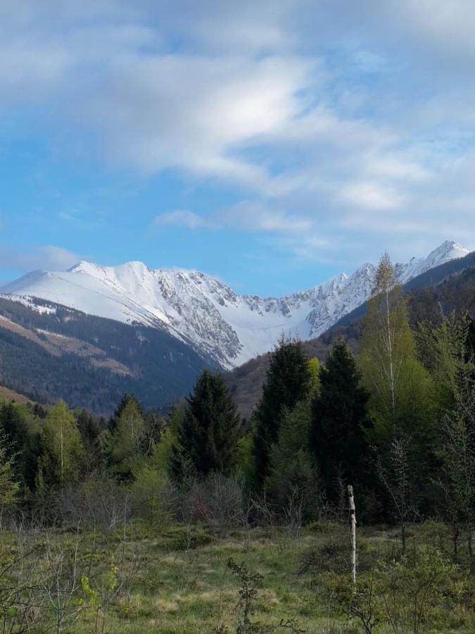Pensiunea Colt De Rai, Vistisoara Statiunea Climaterica Sambata Buitenkant foto